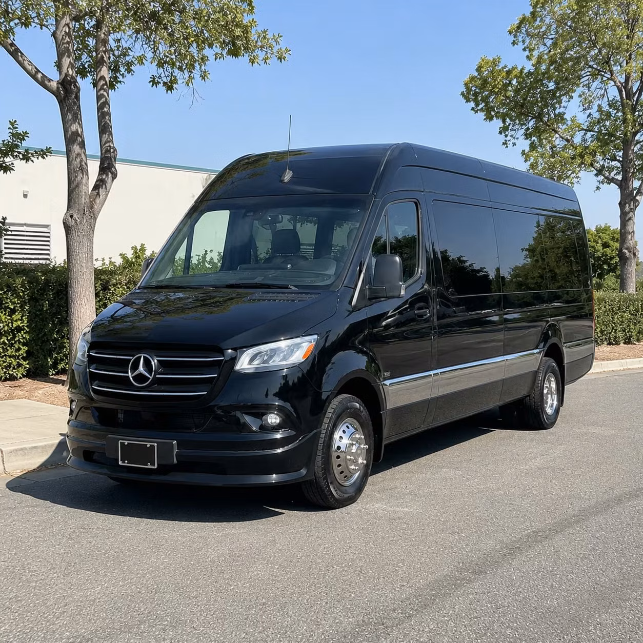 sprinter van with driver